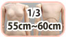 1/3ボディ・55～60cm