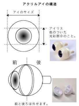 アクリルアイの構造