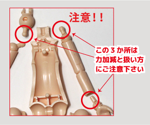 パラボックル 遊び方