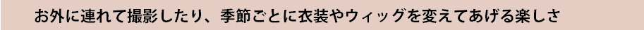 お外に連れて撮影したり、季節ごとに衣装やウィッグを変えてあげる楽しさ